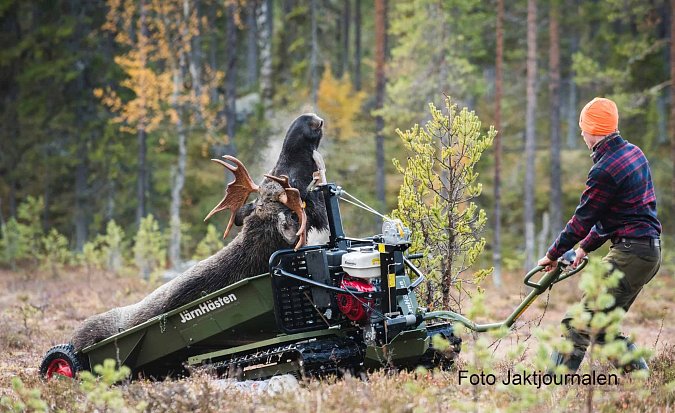 Skarmavbild-2019-10-18-kl.11.17.46.jpeg