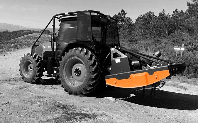 D5R-TMC-CANCELA.jpeg