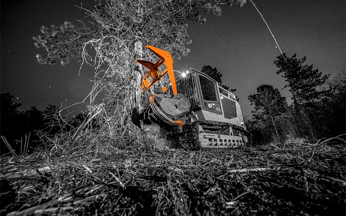 TLX-TMC-CANCELA2.jpeg