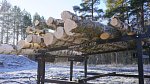 HakkiFeed3724-1024x576.jpeg