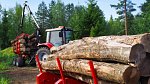 Hakki-Pilke-moving-logs-2-1024x576.jpeg