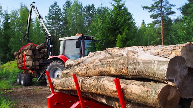 Hakki-Pilke-moving-logs-2-1024x576.jpeg