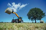 Dieci agri plus